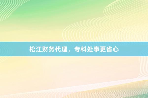 松江财务代理，专科处事更省心