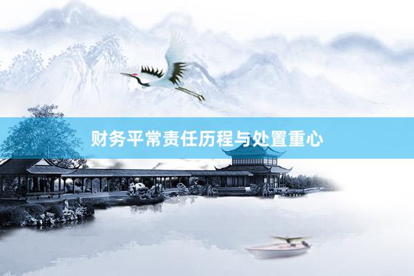 财务平常责任历程与处置重心